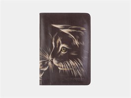 Обложка PR6R Brown Знакомство 57809