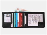 Портмоне PR10 Black 57907